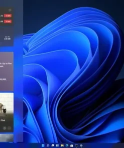 Windows 11 pro desktop