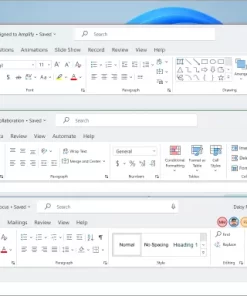 Office Home and Business 2024